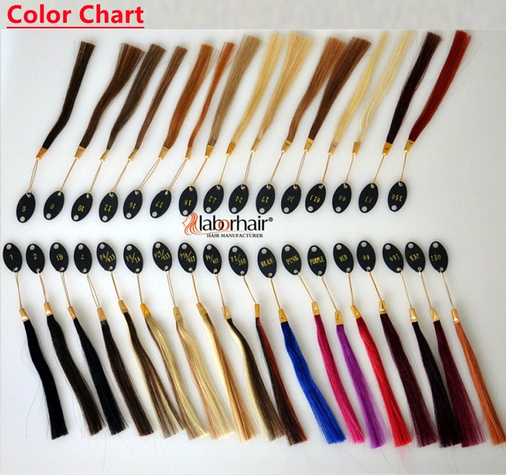 Free Sample Wholesale Price 100% Blonde Human Hair Extensions with Clips